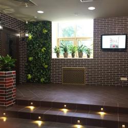Ступень КЕРАМИН Амстердам 4 Темно-коричневый 29,8*29,8 см